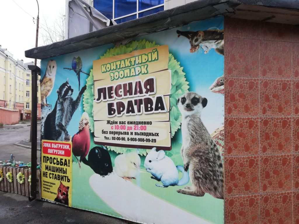 «Лесная братва» — первый контактный зоопарк в городе
