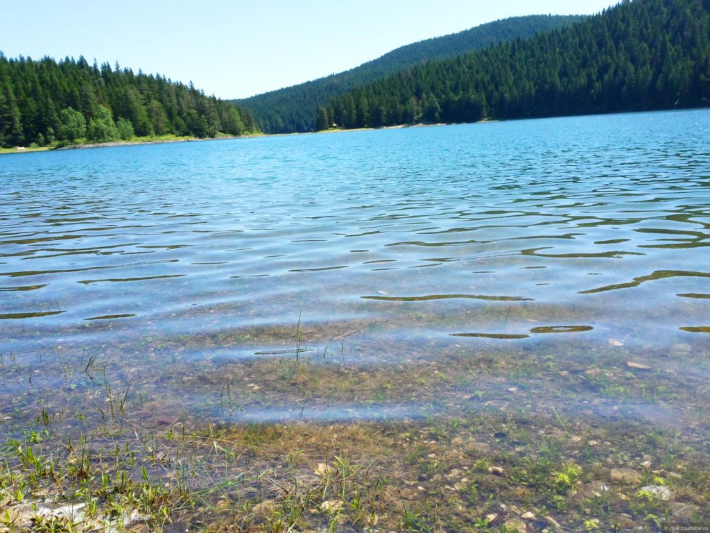 Водная гладь