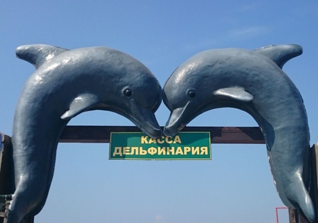 Дельфинарий в естественной морской среде