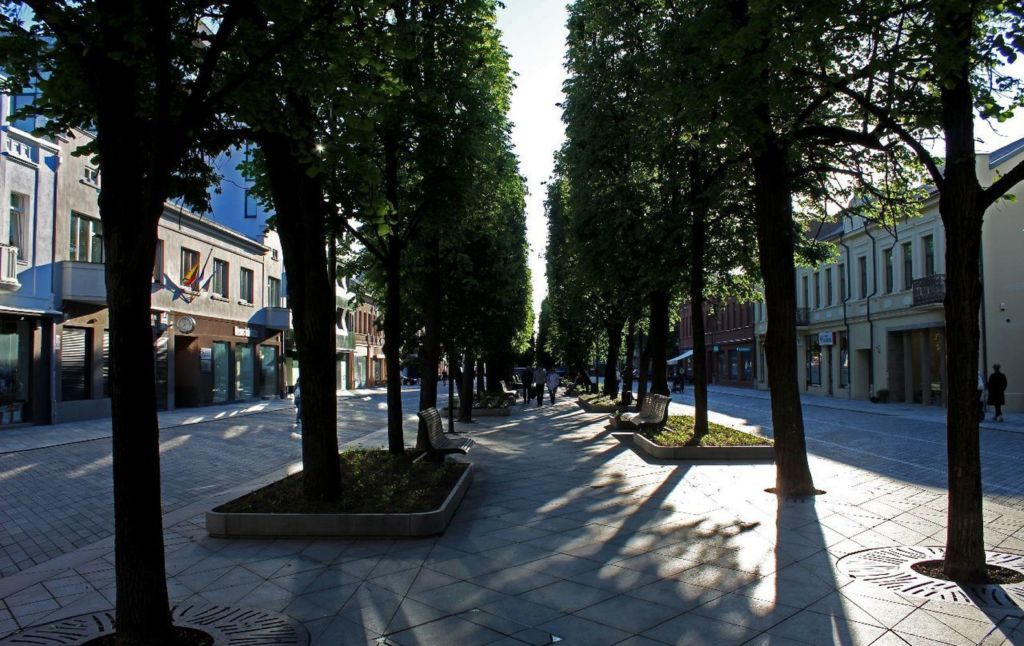 Почти на всей протяженности этой аллеи посажены деревья, и на эту улицу наложен запрет курения