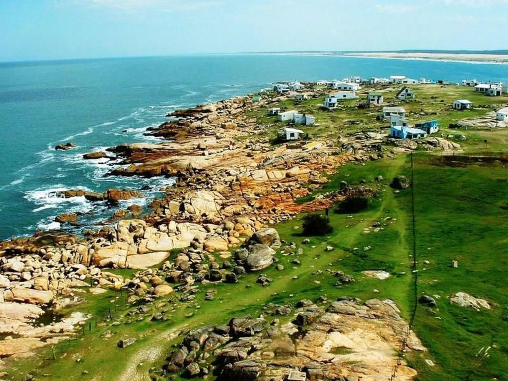 На пустынных пляжах обитают морские птицы и морские львы