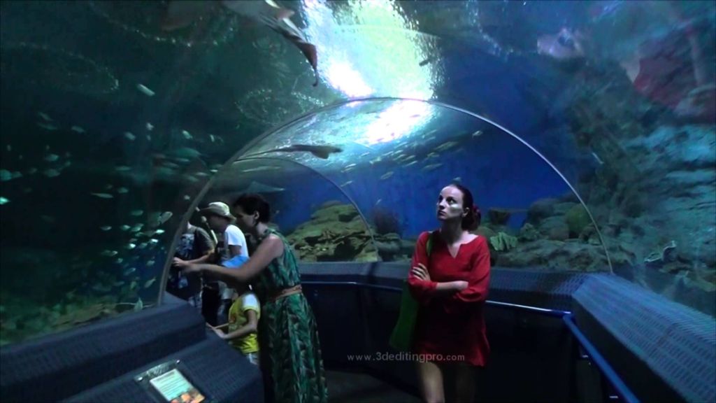Океанариум «Underwater World Pattaya»