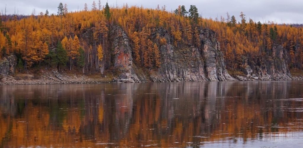 Олёкминский заповедник