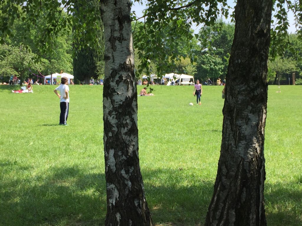 Парк Турани Редона