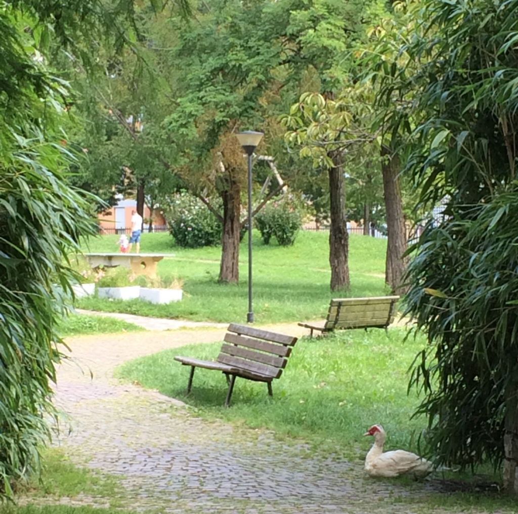 Парк Турани Редона
