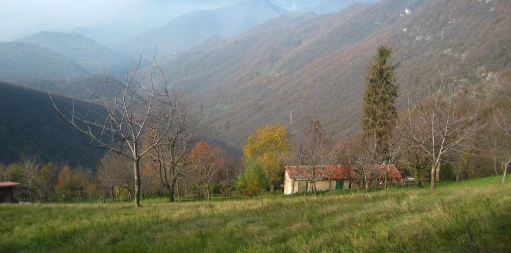 Парк дей Колли