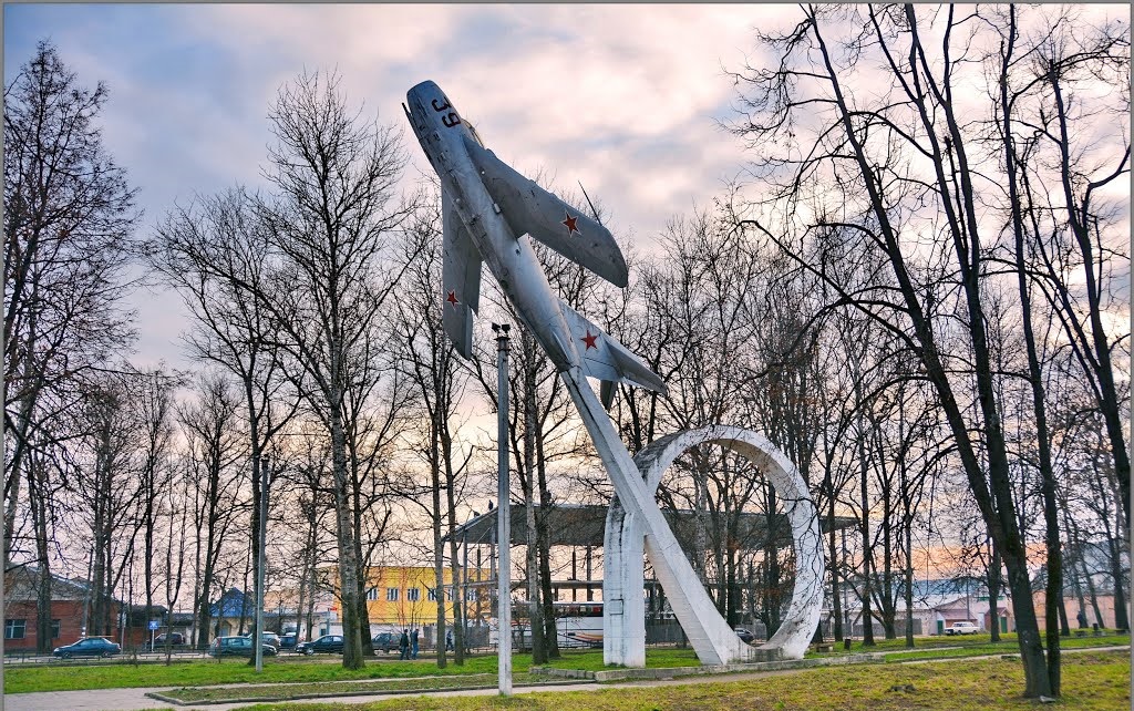 Самолет Светланы Савицкой
