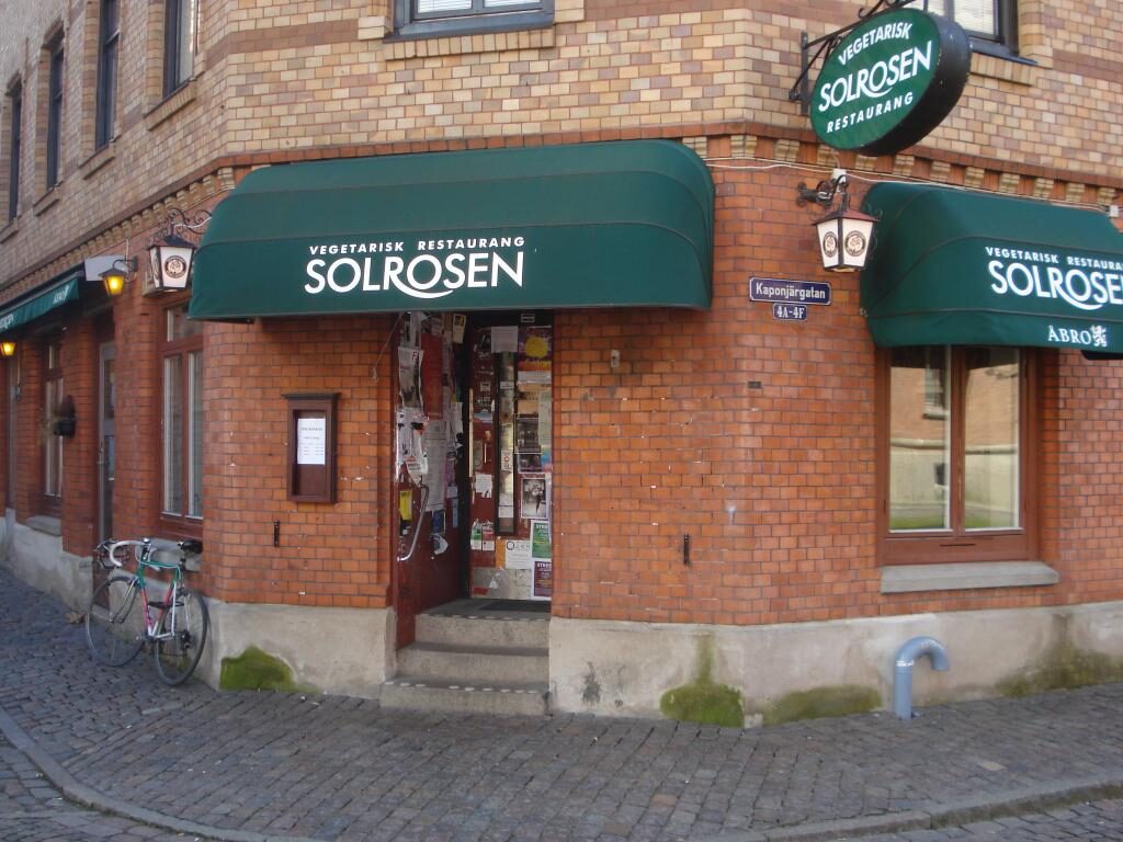 Solrosen