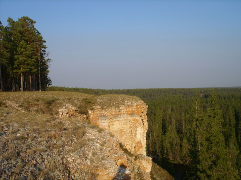 Туруук Хая