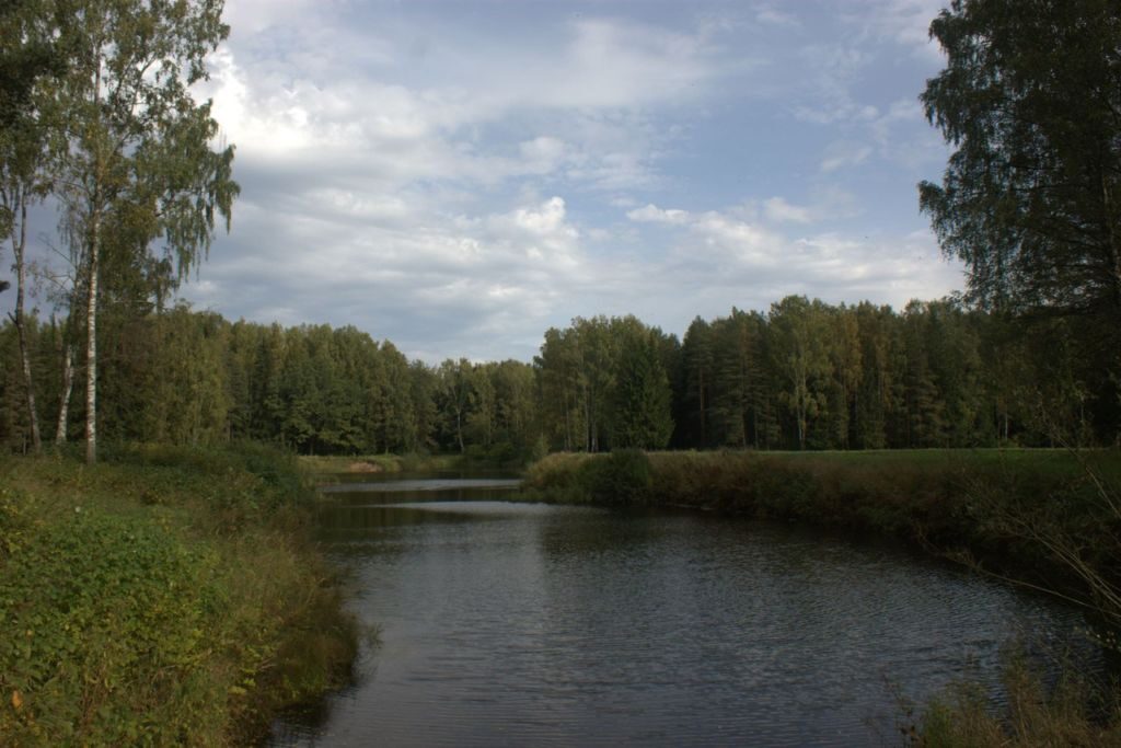 Тярлевская просека
