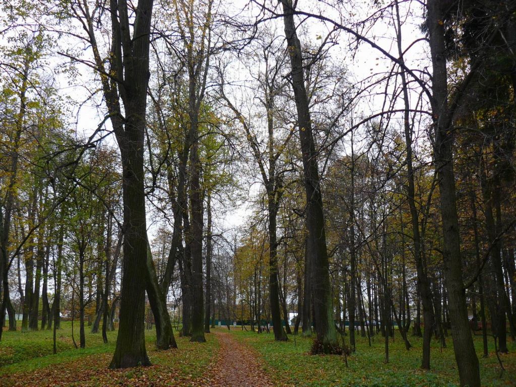 Усадьба Тишково