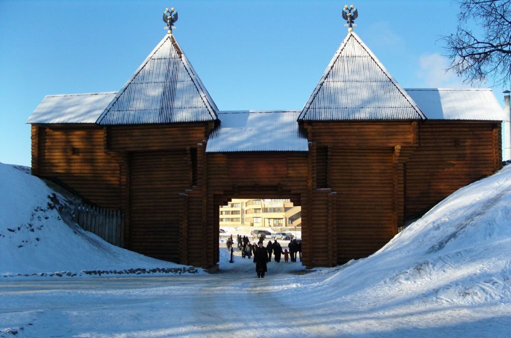 В зимний день