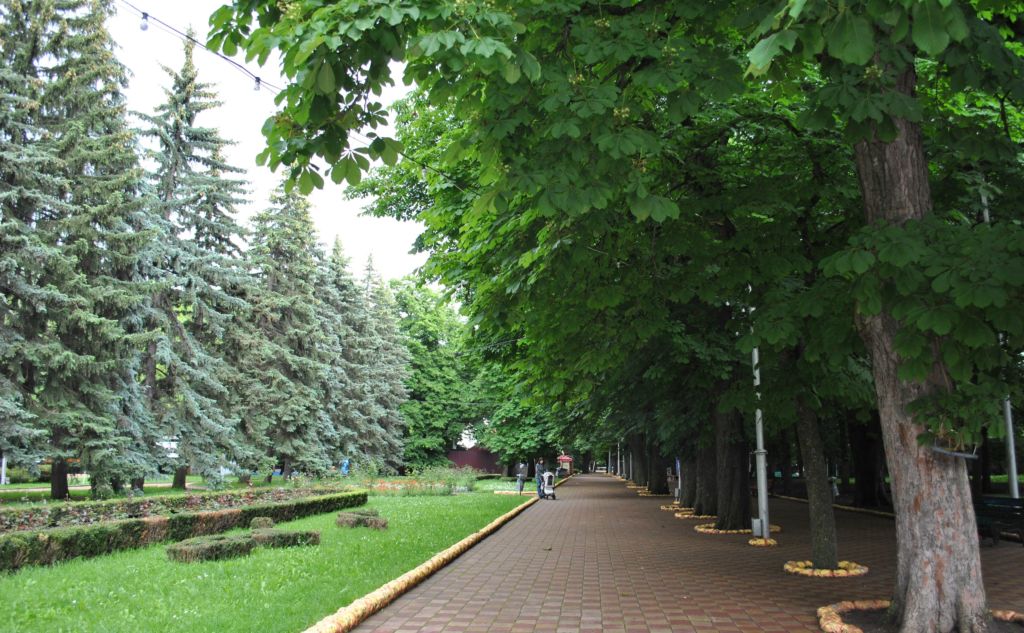 Зеленая аллея