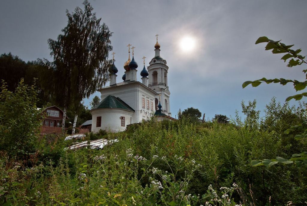 Луговые травы