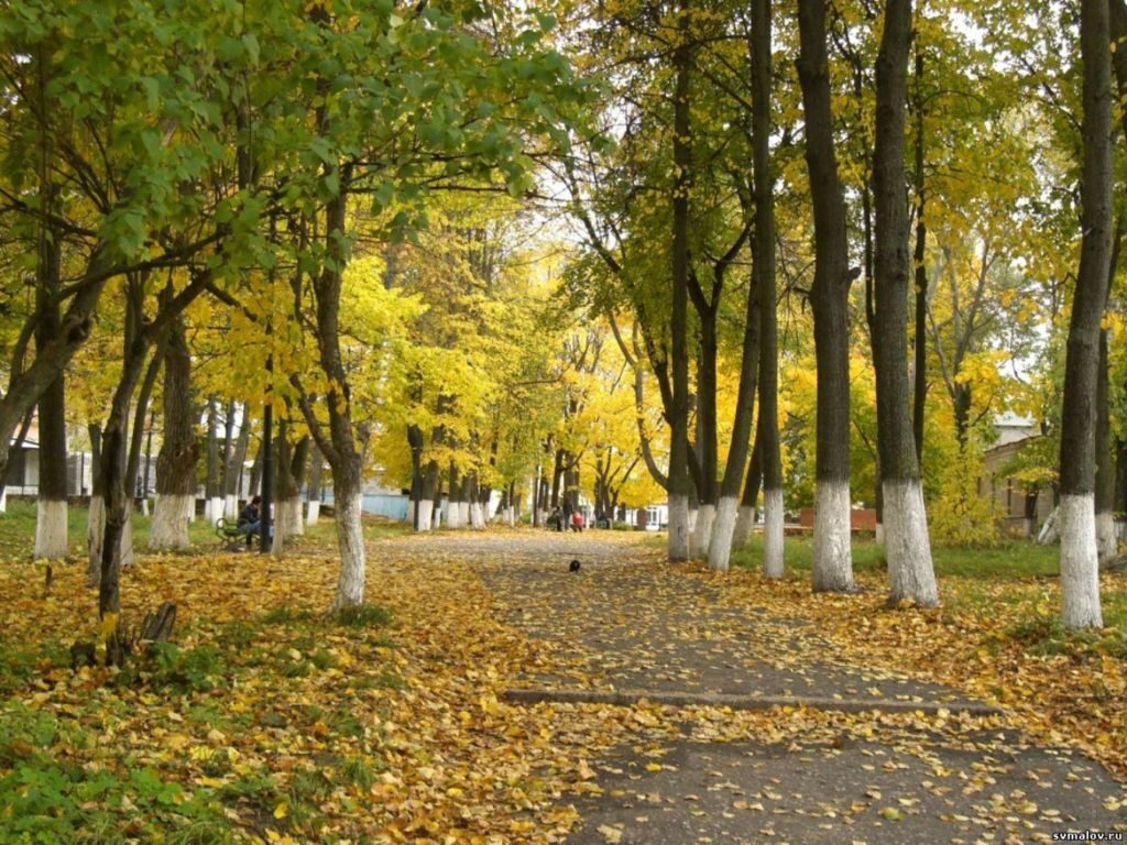 Осень а парке