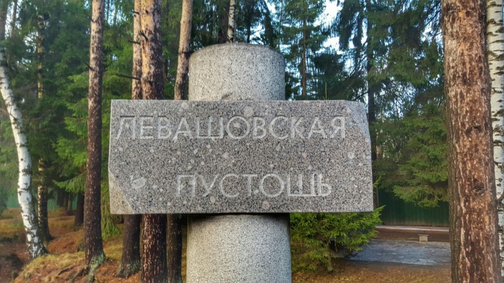 Левашовская пустошь