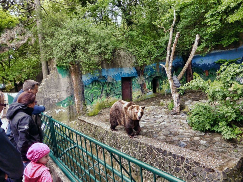 Территория зоопарка достаточно обширна, здесь придется много ходить