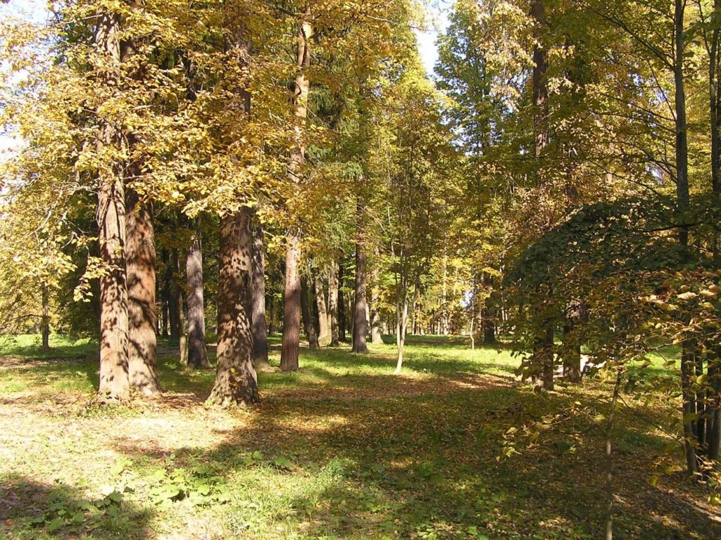 После пожара в 1994 году особняк сгорел дотла