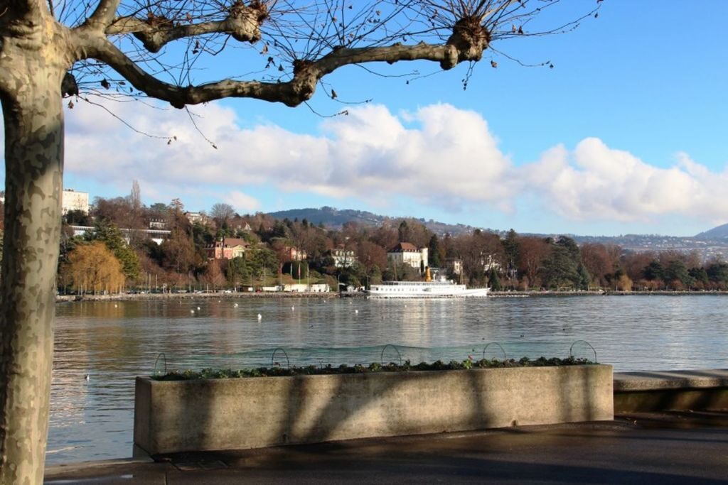 Туристам предлагают водные экскурсии на малых пароходах, катамаранах