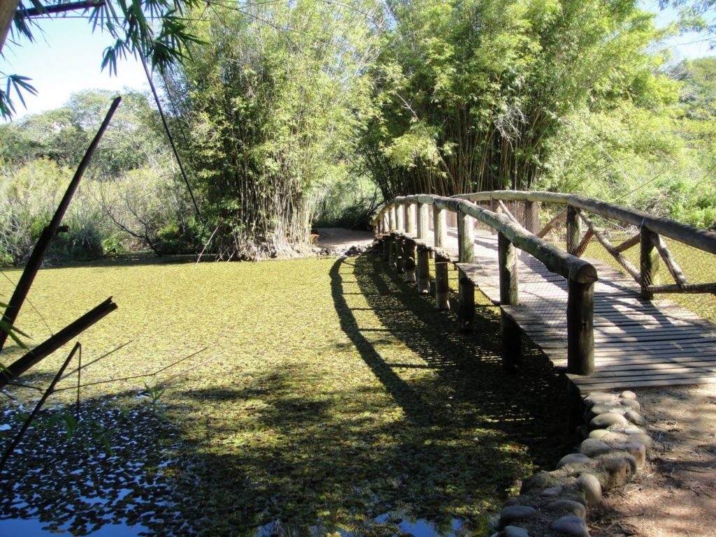 Примечателен сад Аллегре с разными ландшафтами, зелеными зонами