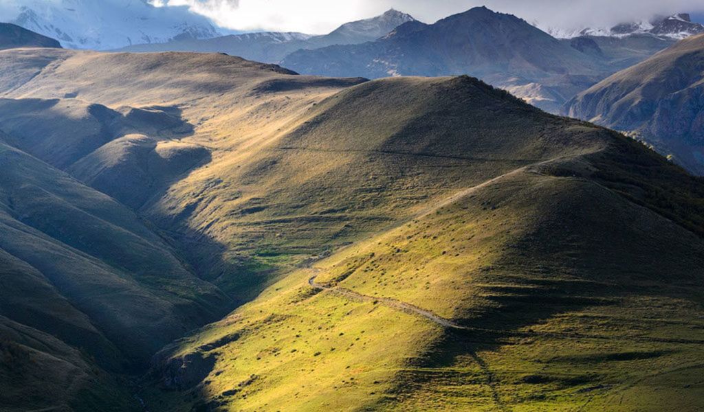 Третью часть парка занимает лесная растительность