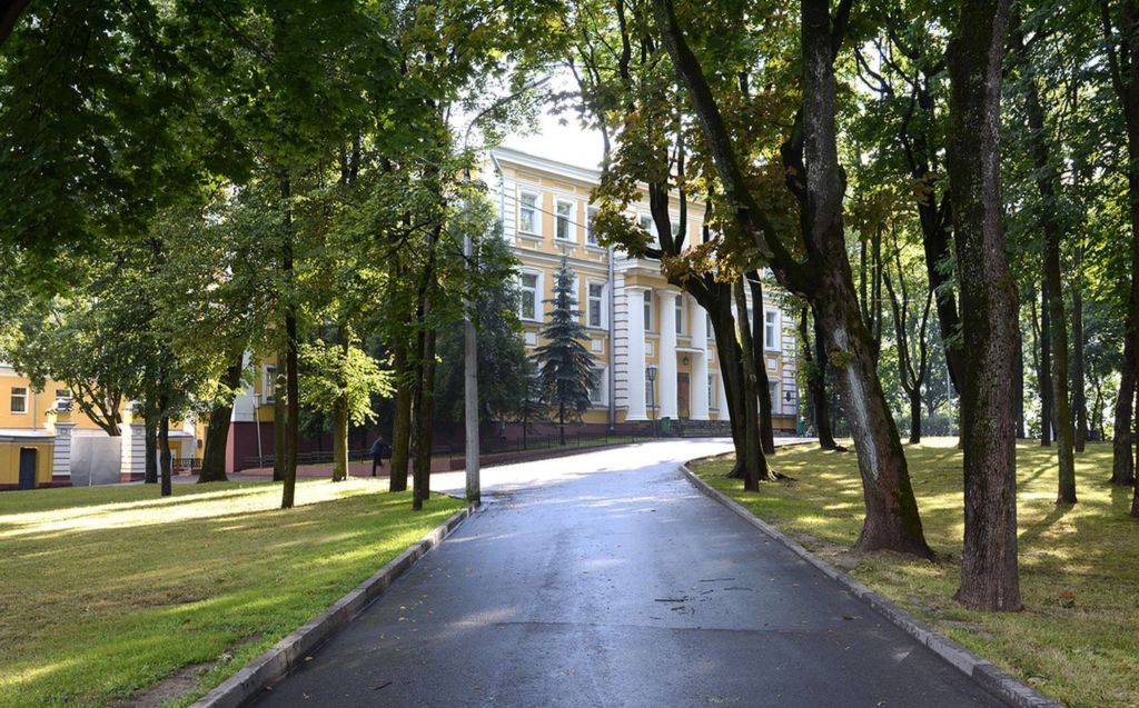 Высокие деревья создают тень и прохладу