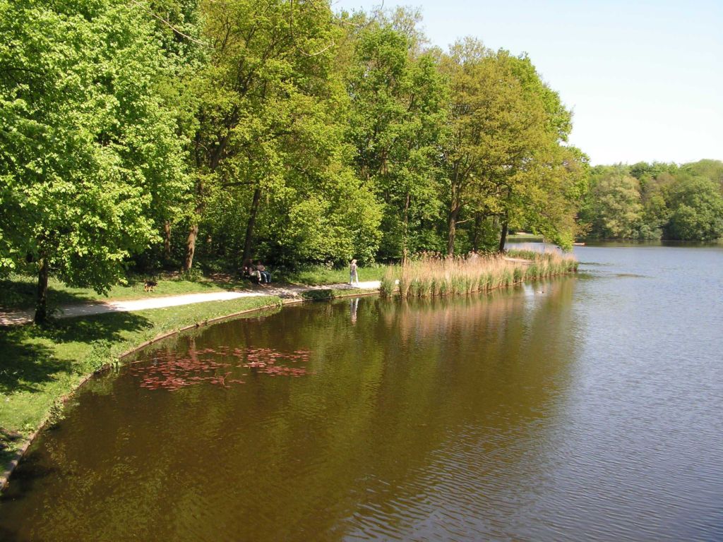 Гаагский лес