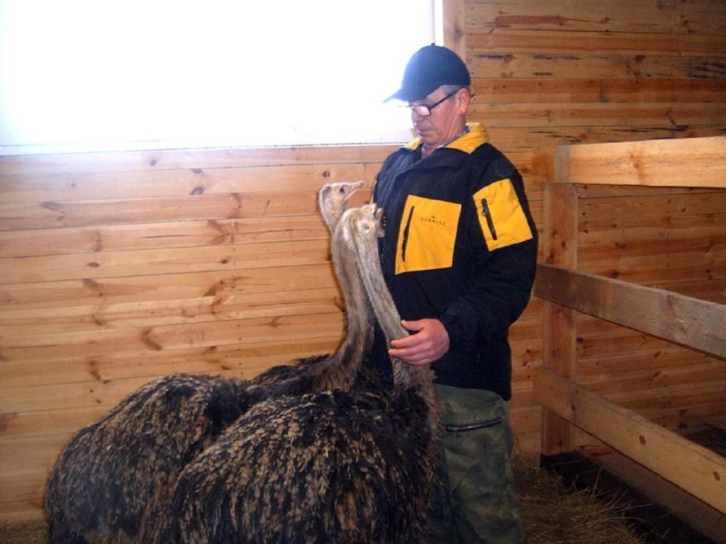 Зоотехник