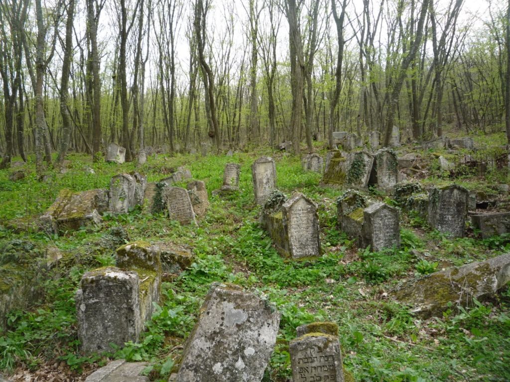 Караимское кладбище Балта Тиймез