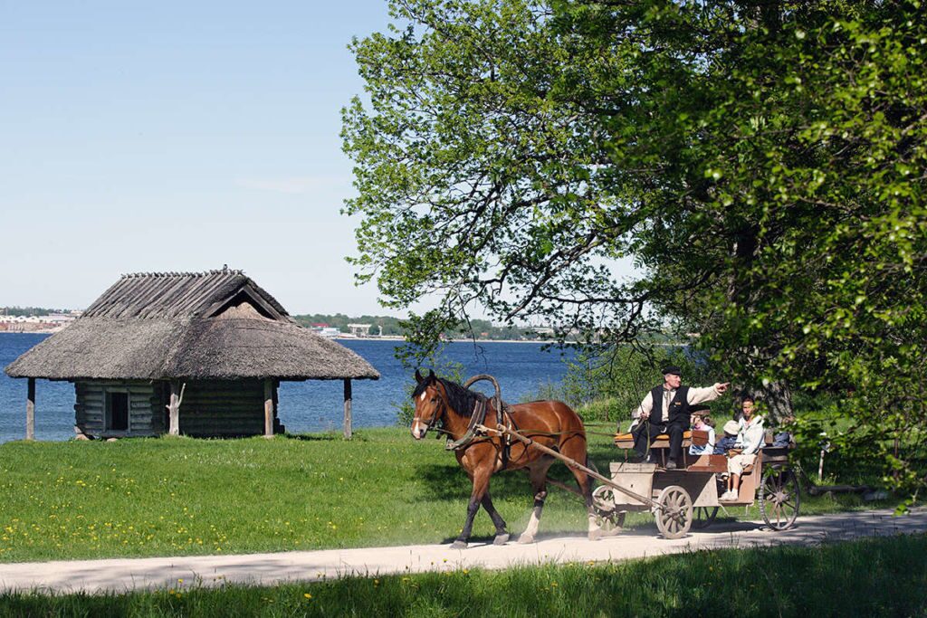 Музей Рокка-аль-маре
