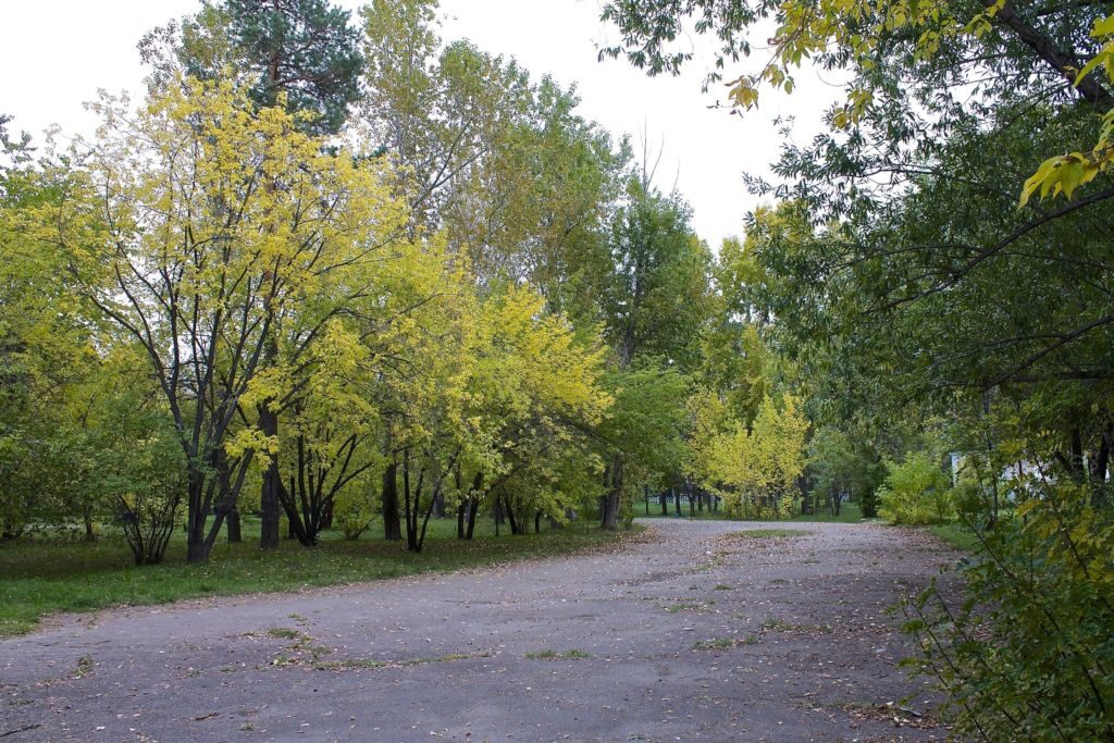 Парк культуры и отдыха